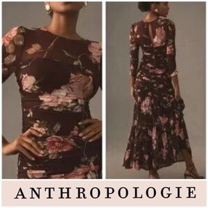 NWT! Anthropologie Erin fetherston Maxine mesh maxi dress XS